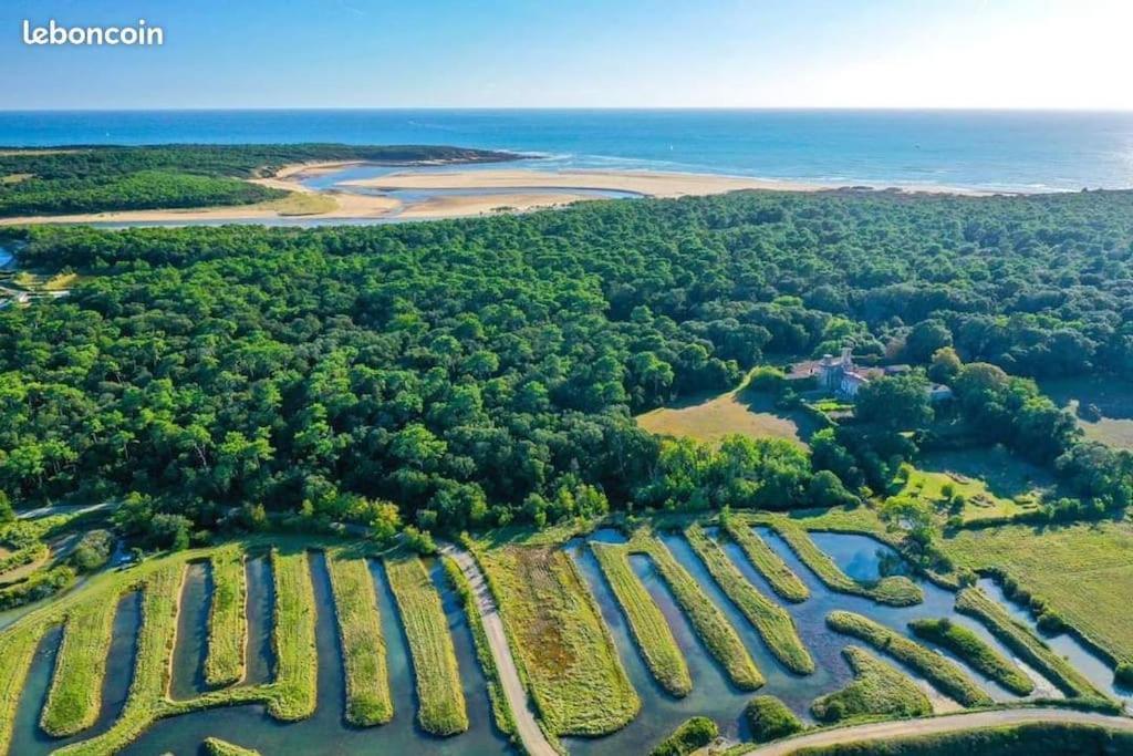 Studio Au Coeur Du Golf De Port Bourgenay, Proche Des Sables D'Olonne Talmont-Saint-Hilaire ภายนอก รูปภาพ
